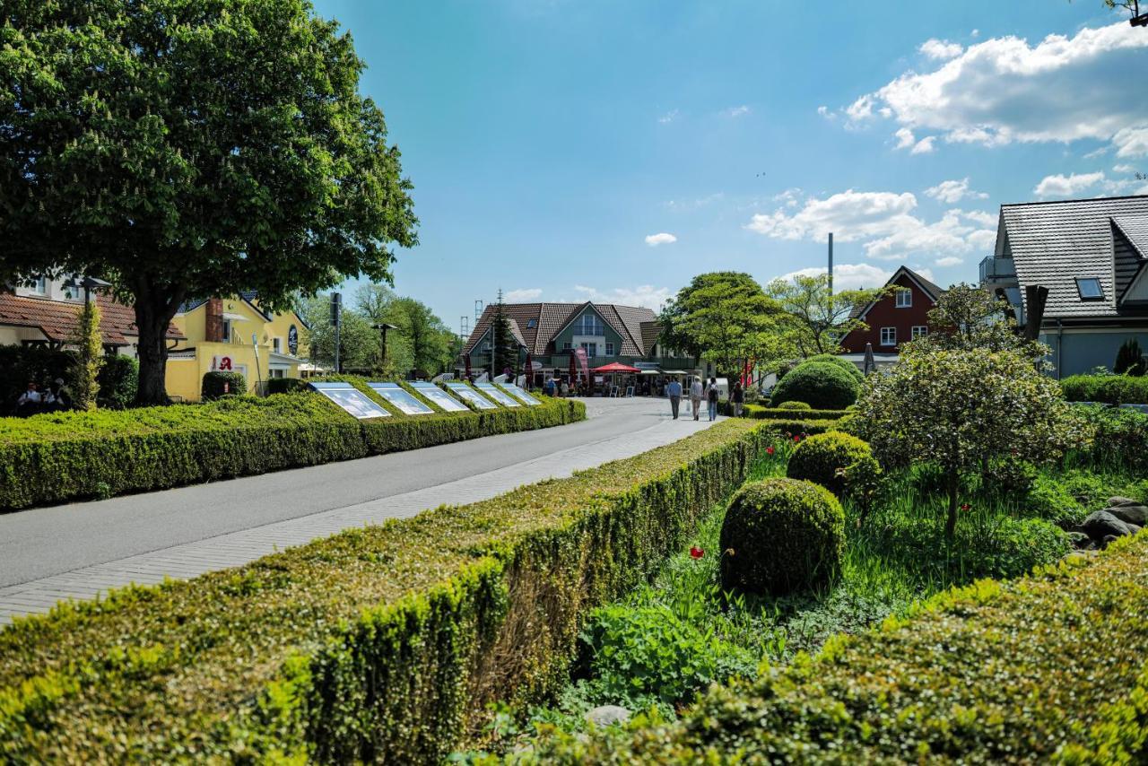 Ferienwohnungen Meerfarbig Zingst - Haustierfrei -Terrasse Mit Strandkorb Oder Balkon - E-Ladesaeule - Parkplatz - Wlan - Fahrradschuppen - Waschtrockner - Ruhig Und Zentral - Nichtraucher Exterior photo